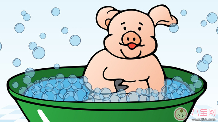  胎宝宝爱听的胎教故事：小猪萌萌不洗澡