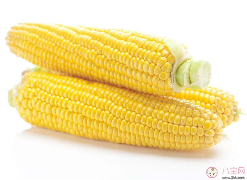 怀孕期间可以吃玉米吗 怀孕怎么吃玉米
