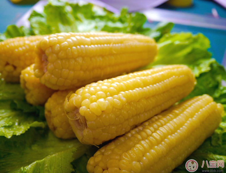 怀孕期间可以吃玉米吗 怀孕怎么吃玉米