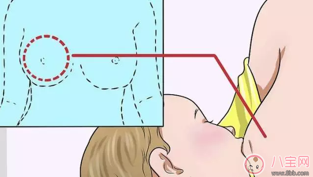 喂奶会让胸部变小吗 哺乳后胸部变丑怎么办 喂奶会让胸部变小吗 哺乳后胸部变丑怎么办