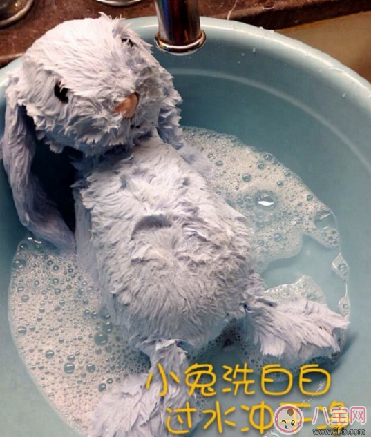 邦尼兔怎么清洗 邦尼兔怎么洗的正确步骤