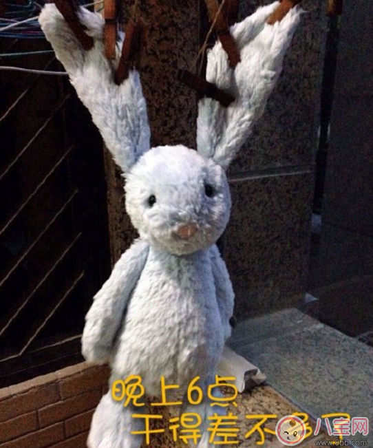 邦尼兔怎么清洗 邦尼兔怎么洗的正确步骤