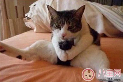 感觉做爱和打飞机差别太大了怎么办 感觉打飞机比做爱还要舒服是不是不正常 感觉做爱和打飞机差别太大了怎么办 感觉打飞机比做爱还要舒服是不是不正常