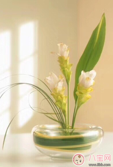 3月再见4月你好的说说句子 4月你好3月再见的说说配图