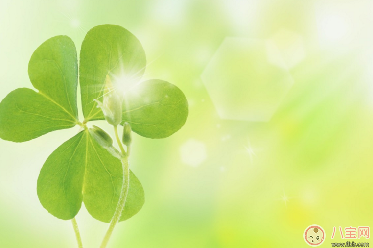 3月再见4月你好的说说句子 4月你好3月再见的说说配图