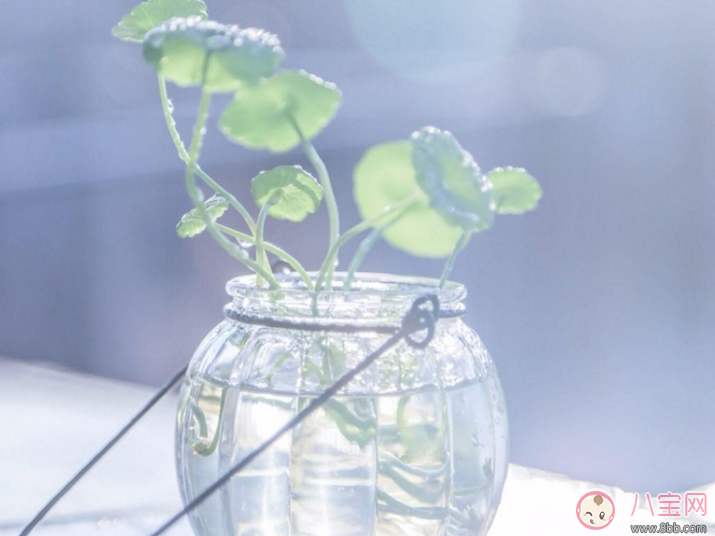 3月再见4月你好的说说句子 4月你好3月再见的说说配图