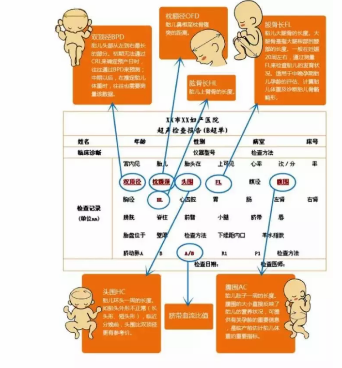 B超单上能看出打了几次胎吗 如何看孕期B超单