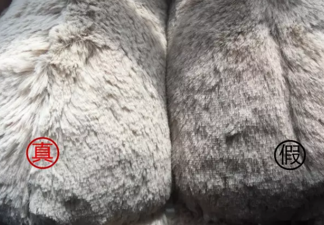 邦尼兔真假对比图片 怎样辨别jellycat真假