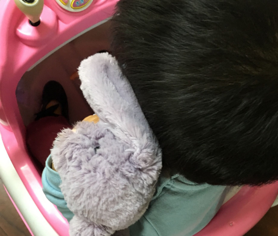 邦尼兔会掉毛吗 邦尼兔公仔使用测评