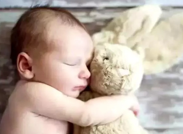 邦尼兔的来源是什么 邦尼兔jELLYCAT的故事