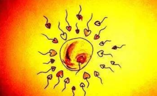 如何提高卵子质量和活力  2018女性备孕指南
