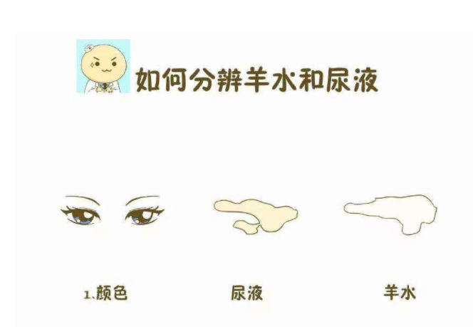 如何区分漏尿和羊水早破 孕妇提前破水的应对方法