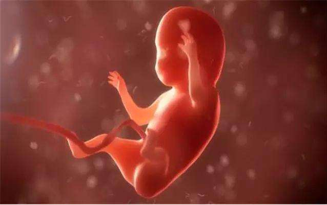 怀孕初期哪些事要避免 如何看胎儿是否健康