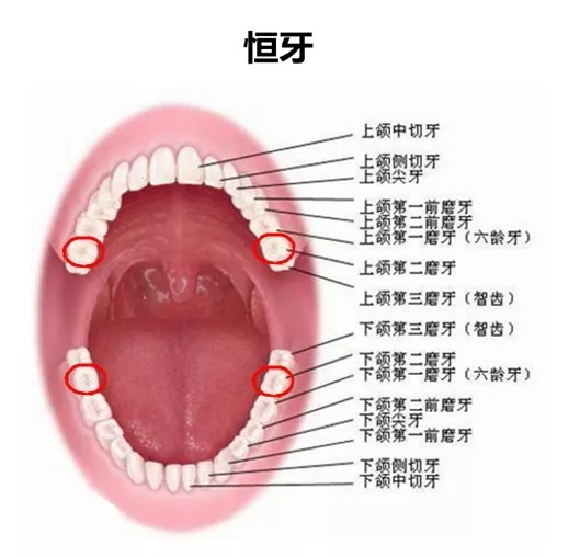 怎么保护乳牙比较好 窝沟封闭如何操作才安全