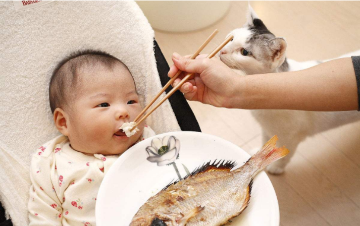 哪些鱼适合宝宝吃 宝宝吃鱼怎么做
