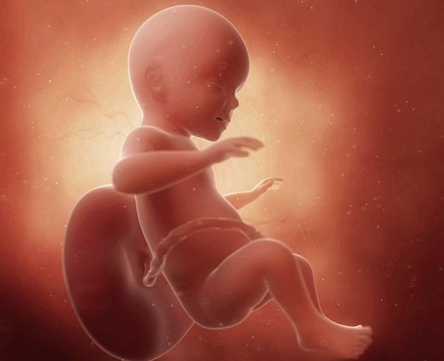 孕期胎位低是什么原因 孕期胎位低有什么危害