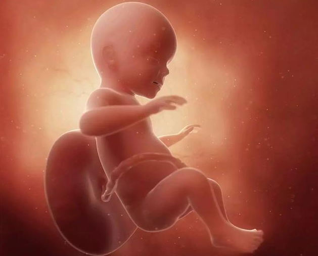 孕晚期胎位不正能顺产吗 孕期胎位不正怎么矫正