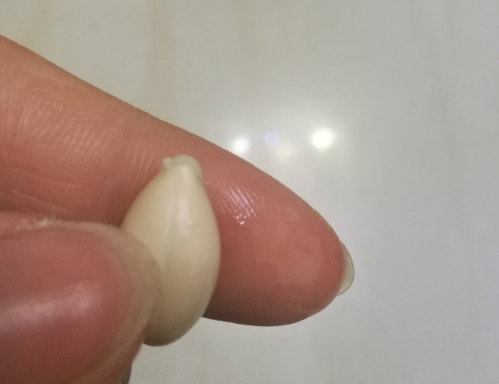 小鹿邦邦vd成分怎么样 小鹿邦邦海藻钙营养全面吗 小鹿邦邦vd成分怎么样 小鹿邦邦海藻钙营养全面吗