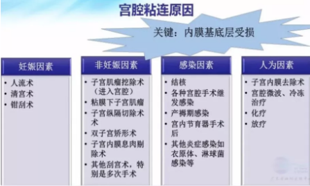 导致宫腔粘连有哪些原因 宫腔粘连产生的原因