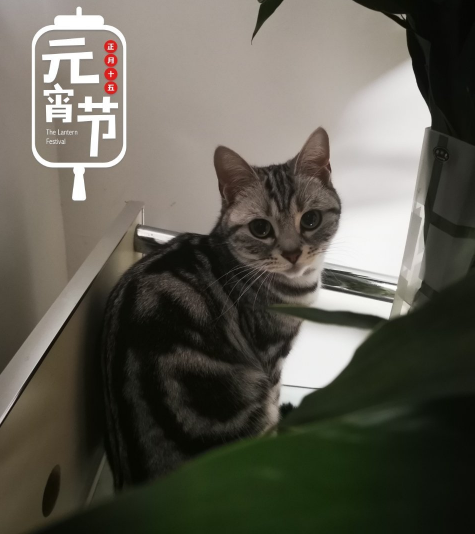 宝宝上学的说说心情 送孩子去学校上学怎么发说说朋友圈 宝宝上学的说说心情 送孩子去学校上学怎么发说说朋友圈