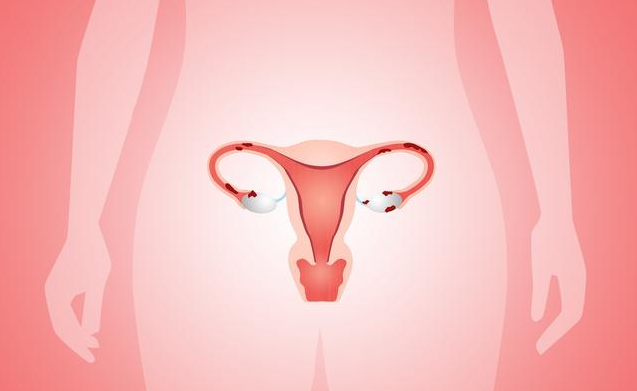 子宫内膜太薄有什么危害 子宫内膜薄如何调理