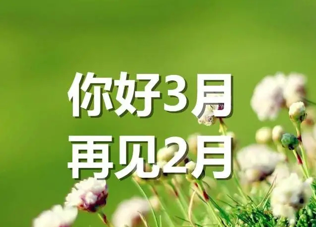 2月再见3月你好心情感慨 2月再见3月你好发什么朋友圈
