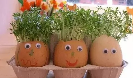 2019幼儿园植树节现场精彩活动报道 幼儿植树节如何开展的