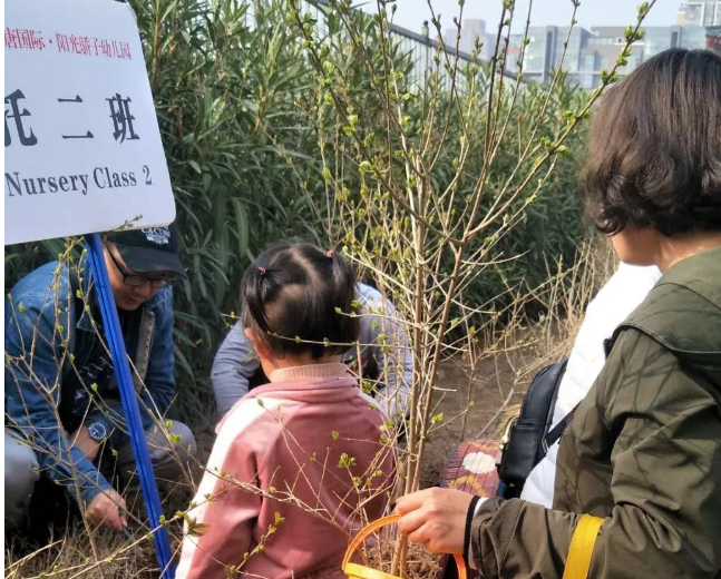 幼儿园小班植树节报道 2019幼儿园植树节活动报道