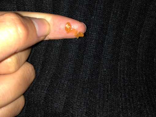 小鹿邦邦海藻油有腥味吗 小鹿邦邦海藻油味道怎么样 小鹿邦邦海藻油有腥味吗 小鹿邦邦海藻油味道怎么样