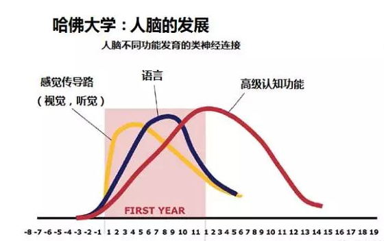 宝宝太早学英语影响学中文吗 学双语越早越好吗