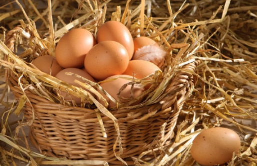 土鸡蛋真的有营养吗 看完315晚会你还买土鸡蛋吗