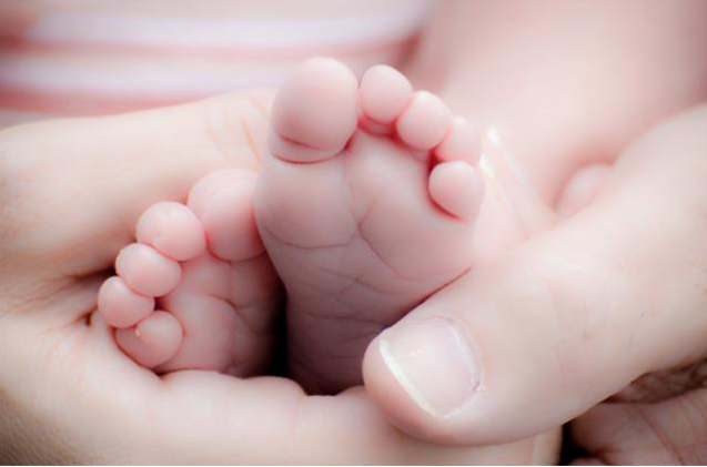 早产儿袋鼠抱护理的好处 早产儿护理要格外注意什么