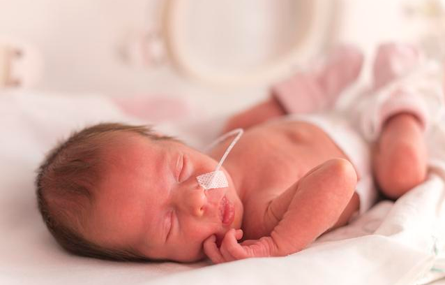 早产儿袋鼠抱护理的好处 早产儿护理要格外注意什么