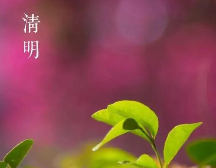 清明节聪明的家长都带孩子做这几件事 清明适合带孩子干什么