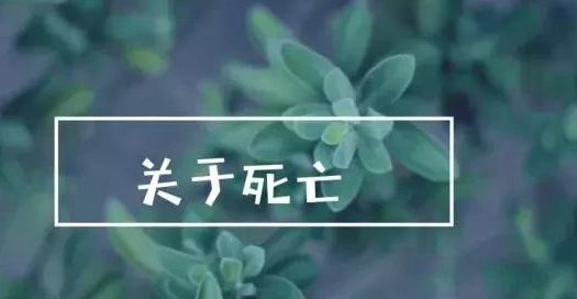 清明节聪明的家长都带孩子做这几件事 清明适合带孩子干什么