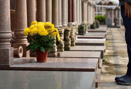 清明节扫墓孕妇有什么禁忌和避讳 清明节扫墓要注意什么