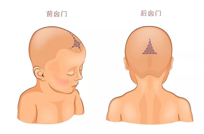 宝宝囟门哪些情况要注意 宝宝头部护理