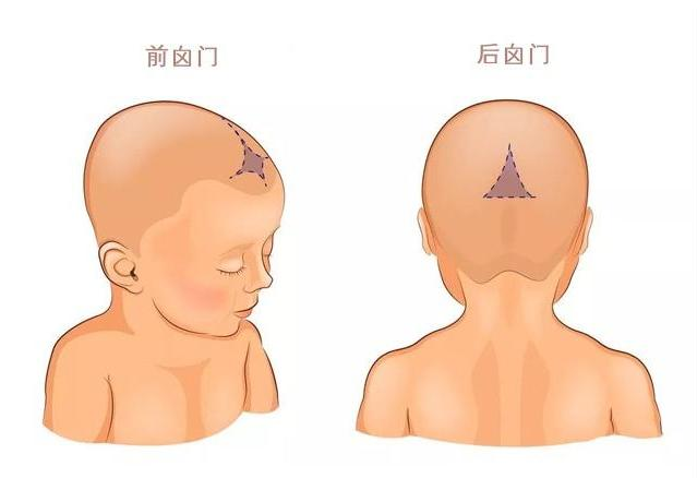 宝宝前囟门跳动正常吗 囟门迟迟不闭合有什么危害