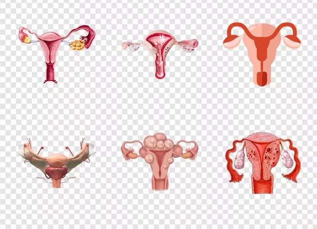 怀孕得了子宫肌瘤会影响胎宝宝吗 子宫肌瘤怀