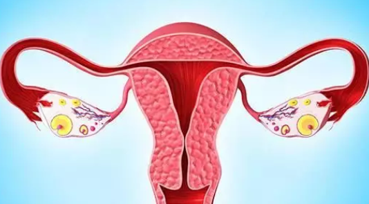 输卵管堵塞是吃药还是手术效果好 输卵管堵塞手术治疗方法