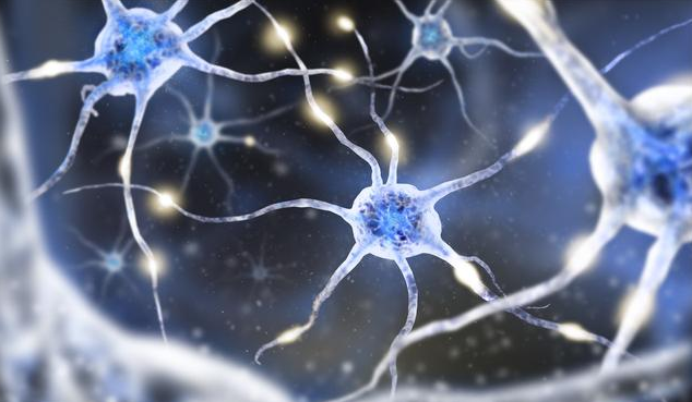 孕妇要不要补充DHA 孕妇怎么补充DHA比较好 孕妇要不要补充DHA 孕妇怎么补充DHA比较好