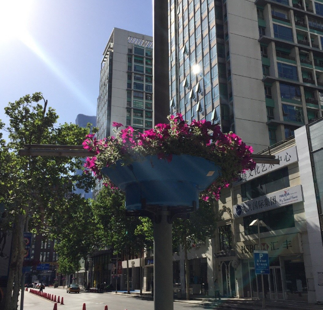 今日立夏怎么去养生 立夏节气有哪些习俗