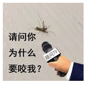 被蚊子咬醒搞笑段子 被蚊子咬幽默调侃句子