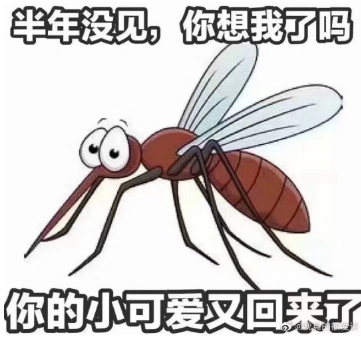 被蚊子咬醒搞笑段子 被蚊子咬幽默调侃句子