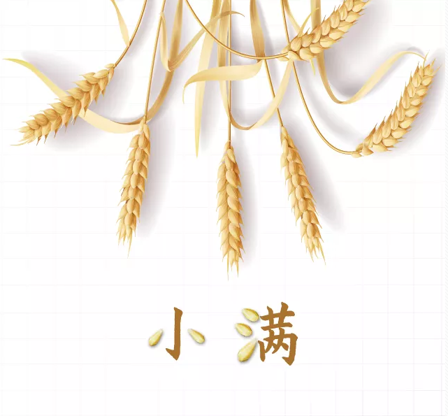 2019幼儿园小满活动报道 幼儿园小满活动简报