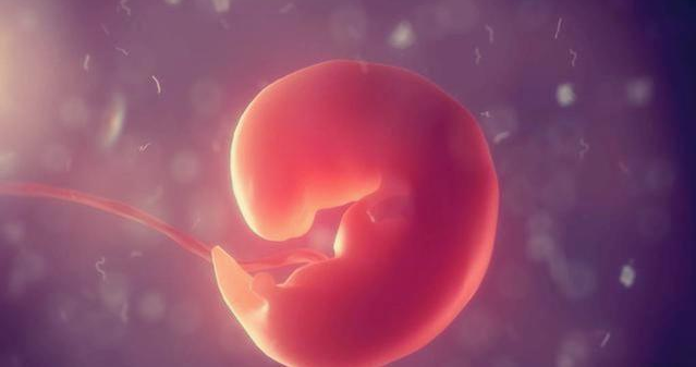 怀孕多久可以看到胎心胎芽 怀孕没有胎心胎芽要保胎吗