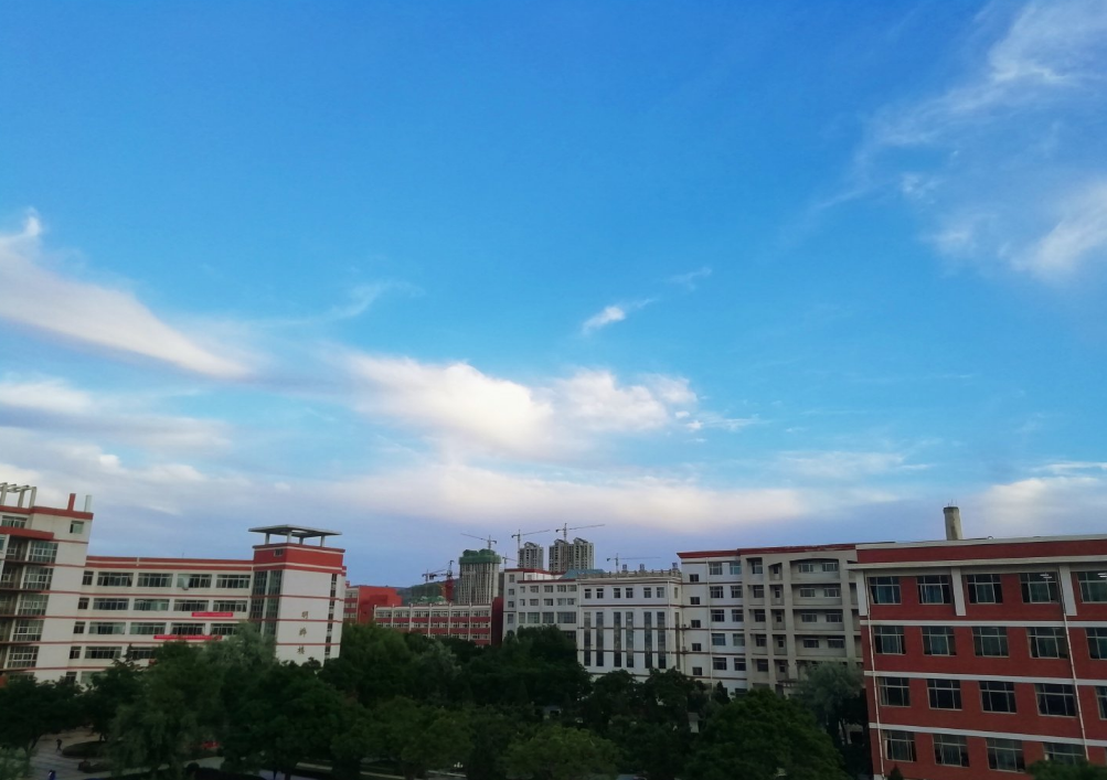 描写夏天蝉鸣的句子 关于夏天的优美短句说说