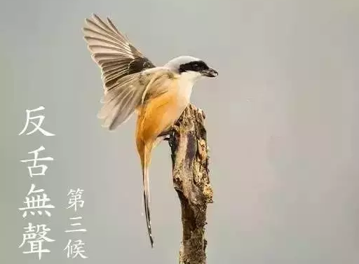 2019今日芒种朋友圈图片 今日芒种说说短语句子