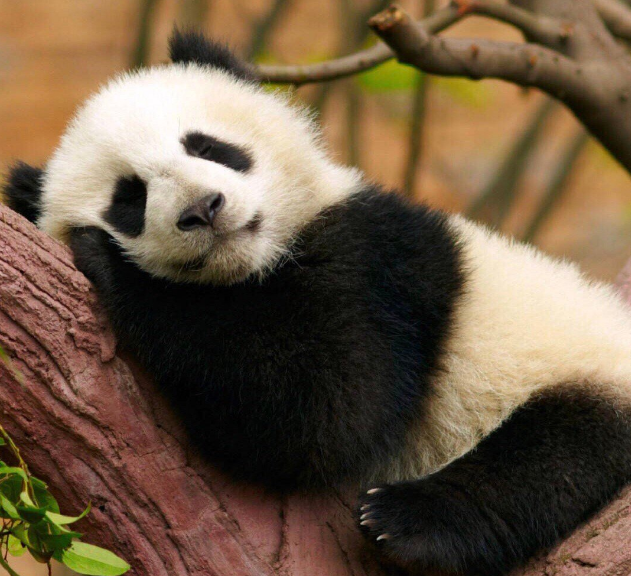 怀孕后有点感伤的心情 怀孕的感伤说说朋友圈