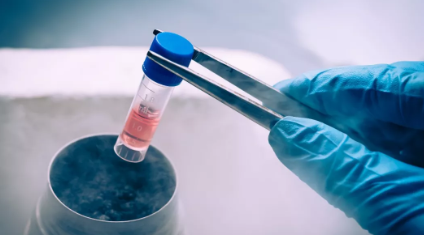 女明星为什么要冻卵 女明星冻卵的好处